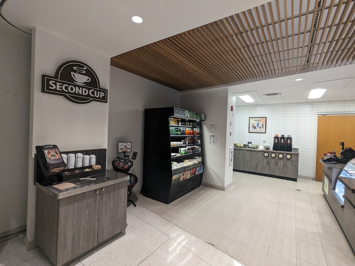 Second Cup Cafe